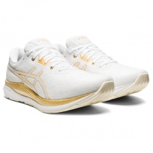 Asics Running Shoes EvoRide (Comfort) White Men