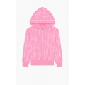 Champion Hoodie American Classic Champion Print Hoodie (lined) pink Girls