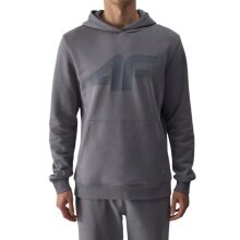 4F Hooded Sweatshirt M1494 (Cotton) grey Men