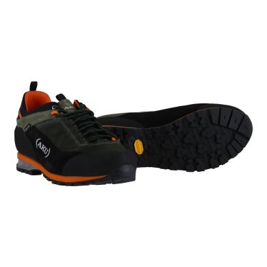 AKU Hiking Shoes Link GTX (Trekking, waterproof) 2024 green/orange Men