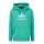 Alpha Industries Hoodie Basic Logo atomic green Men