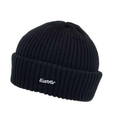 Polar Bear Winter Hat (Beanie) Ribbed Black Men's