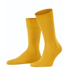 Burlington Daily Sock Dublin (gassed cotton) yellow Men - 1 Pair