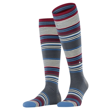 Burlington Knee Socks Stripe (Striped pattern with contrasting stripes) navy blue Men - 1 pair