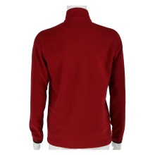 Champion Pullover Athletic Micro Polar Fleece red Men