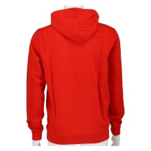 Champion Hoodie Graphic Shop Red Men