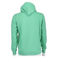 Champion Hoodie Pastel Colors 2021 Green Men