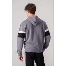 Champion Hoodie with Half-Zip (Cotton Hoodie) American Tape dark grey Men