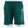 Champion Leisure Shorts (with Inner Mesh) Short with Logo Print 2024 green Men's