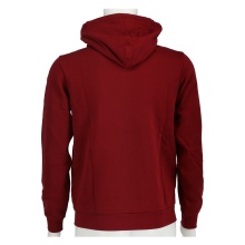 Champion Hoodie Fullzip Big Logo Print burgundy Boys