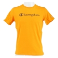 Champion Tshirt (Cotton) Big Logo Print orange Boys