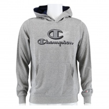 Champion Hoodie Graphic Shop Logo grey Boys