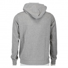 Champion Hoodie Graphic Shop Logo grey Boys