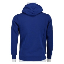 Champion Hoodie Big Logo Print Hoodie (lined) royal blue Boys