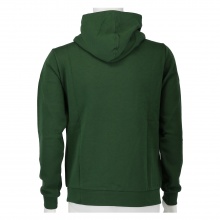 Champion Hoodie Big Logo Print Hoodie (lined) dark green Boys