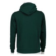 Champion Hoodie Big Logo Print Hoodie (lined) forest green Boys