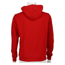 Champion Hoodie Big Logo Print Hoodie (lined) tomato red/white Boys