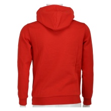 Champion Hoodie Big Logo Print (lined) red/white Boys