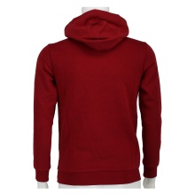 Champion Hoodie Big Logo Print (lined) dark red/white Boys