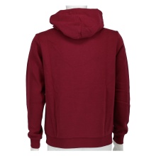 Champion Hoodie Big Logo Print Hoodie (lined) burgundy/white Boys