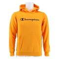 Champion Hoodie Big Logo Print Hoodie (lined) yellow/black Kids