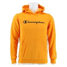 Champion Hoodie Big Logo Print Hoodie (lined) yellow/black Kids