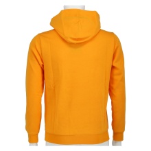 Champion Hoodie Big Logo Print Hoodie (lined) yellow/black Kids