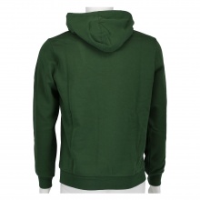 Champion Hoodie Full Zip C-Logo Hoodie (lined) green Boys