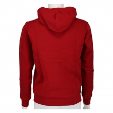 Champion Hoodie Full Zip C-Logo Hoodie (lined) burgundy Boys