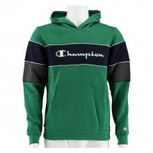 Champion Hoodie Modular Blocking (lined) green Kids