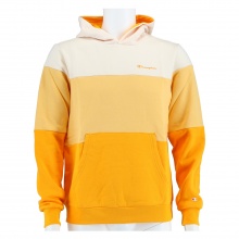 Champion Hoodie American Classic 3 Stripes 2021 Yellow Boys