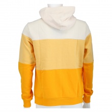 Champion Hoodie American Classic 3 Stripes 2021 Yellow Boys