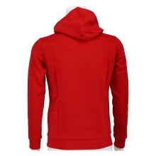 Champion Hoodie (Fleece Cotton Hoodie) with New York Logo in Red for Kids