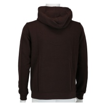 Champion Hoodie (Fleece-Hoodie) Big Logo Print dark brown Boys