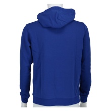 Champion Hoodie (Cotton Hoodie) Big Logo 2024 Royal Blue Boys