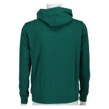 Champion Hoodie (Cotton Hoodie) Big Logo 2024 Dark Green Boys