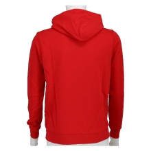 Champion Hoodie (Cotton Hoodie) Big Logo 2024 red Boys