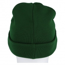 Champion Beanie (Beanie) Legacy Knit with C-Logo green Children 1 piece