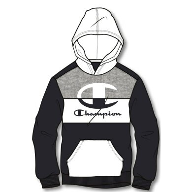 Champion Hoodie Multicolour black/white Boys