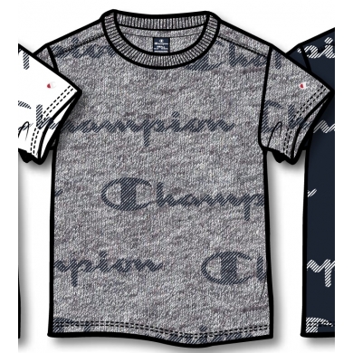 Champion Leisure T-shirt (Cotton) Graphic Print grey Boys