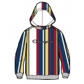 Champion Hoodie American Classic Logo Print Striped White/Blue Boys