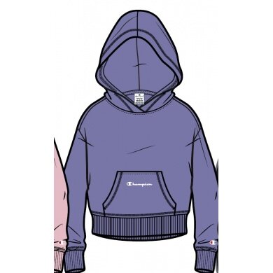 Champion Leisure Hoodie (Cotton Hoodie) small logo print purple Girls