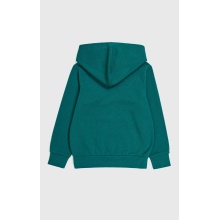 Champion Hoodie (Fleece-Hoodie) Big Logo Print dark green Boys