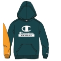 Champion Hoodie (Fleece Cotton Hoodie) with New York Logo Petrol Blue Children