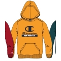 Champion Hoodie (Fleece Cotton Hoodie) with New York Logo in Yellow for Kids