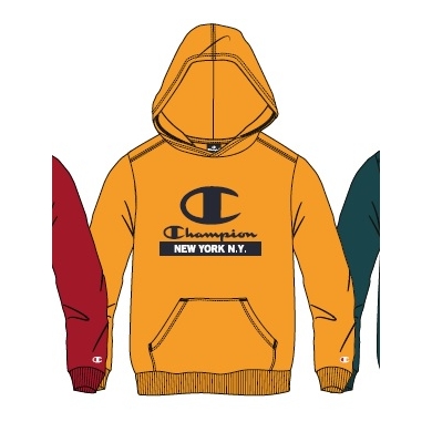 Champion Hoodie (Fleece Cotton Hoodie) with New York Logo in Yellow for Kids