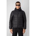 Champion Winter quilted jacket with hood - functional padding - black Men