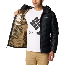 Columbia Winter Down Jacket Labyrinth Loop with Hood (Omni-Heat Infinity, synthetic down) black Men