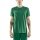 Craft Sport T-shirt Progress Indoor Jersey (elastic material) green men's