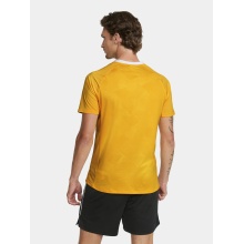 Craft Sport T-shirt (Jersey) Premier Solid Jersey (recycled Polyester, high elasticity) yellow Men